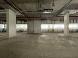 The M (D7), Retail #562149881